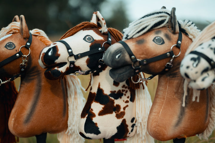 Hobby Horses wearing black halters at the US Hobby Horse Championships