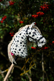 Hobby Horse Lord Valentine udenfor, set fra siden foran et rønnetræ fuldt af røde bær