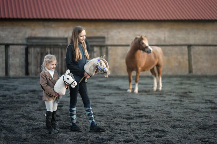 What is Hobby Horsing?