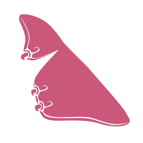 Minimalistisk illustration af en lyserød hånd, der danner bogstavet B på amerikansk tegnsprog