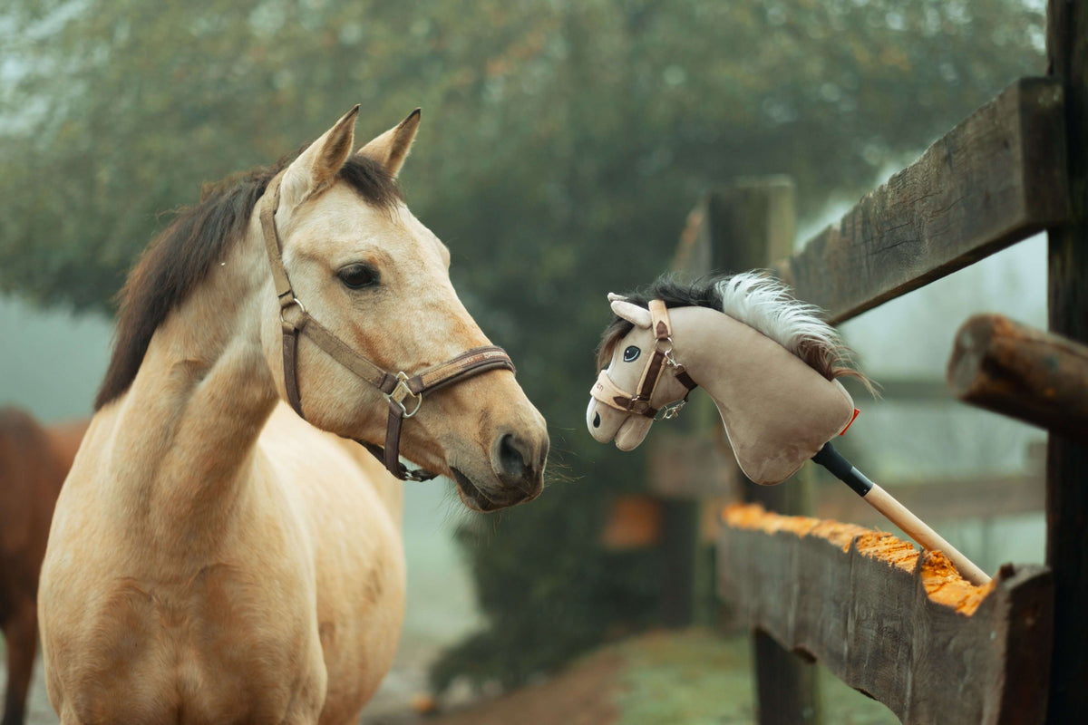 A tan horse wearing a halter curiously looks at a Hobby Horse propped against a wooden fence outdoors on a foggy day. Trees and another horse are visible in the background, evoking the playful spirit of Hobby Horsing.
