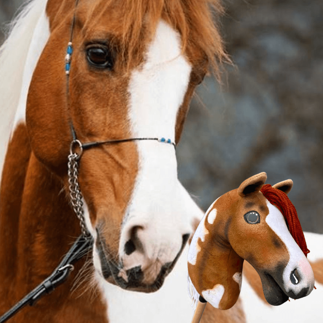 A close-up shows a real brown and white horse with a bridle next to the Hobby Horse LarDen "Hobby Horse based on your photo" toy, complete with red yarn mane and matching markings. A blurred background highlights their charming resemblance.
