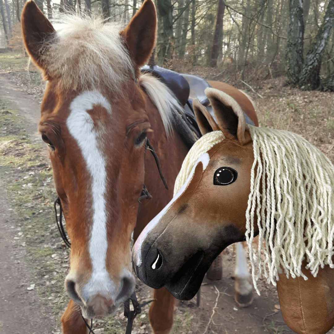 A brown horse with a white blaze stands on a forest path next to a custom-made “Hobby Horse based on your photo” by Hobby Horse LarDen with matching colors and a yarn mane. Trees and a dirt path are in the background.