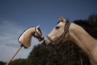 A real horse with a halter touches noses outdoors with a beige Hobby Horse LarDen "Hobby Horse based on your photo"; trees and blue sky appear in the background.