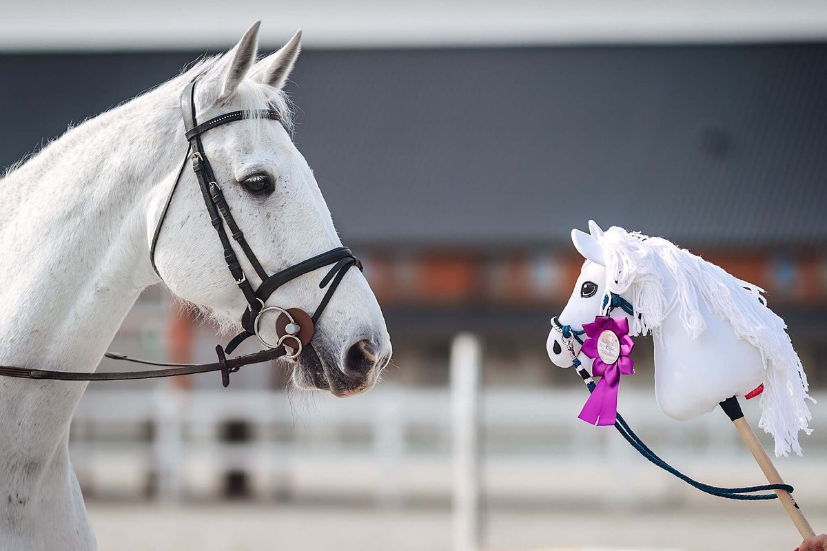A white horse in a bridle looks at the personalized "Hobby Horse based on your photo" by Hobby Horse LarDen, featuring a purple rosette award, set against a blurred outdoor scene with a building and fence.