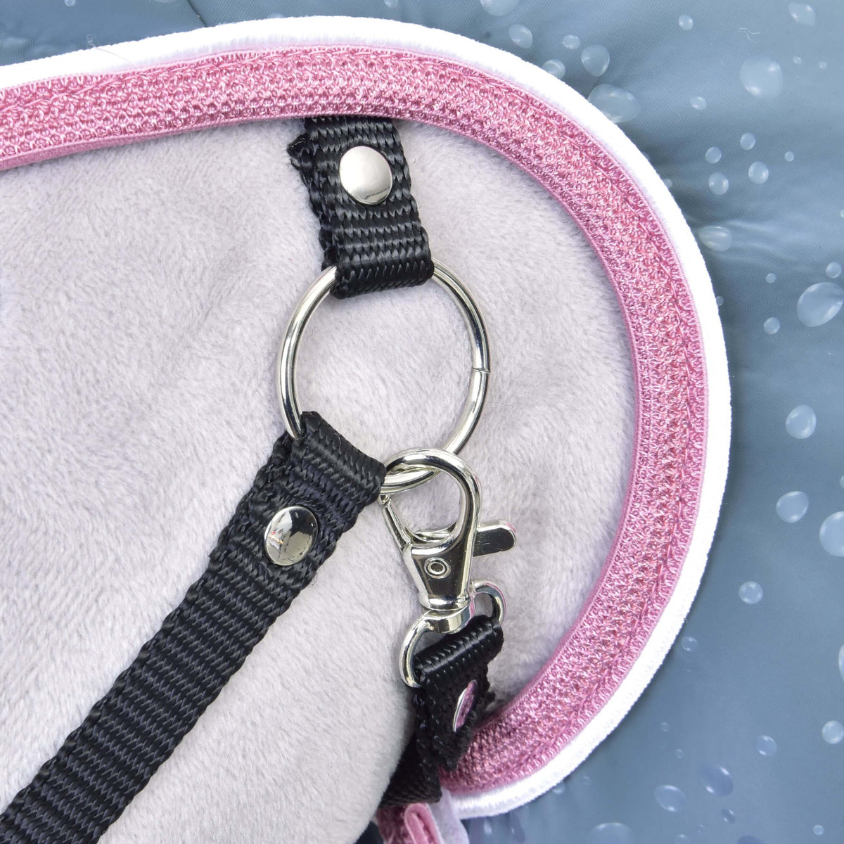 Close-up of the pink and white trim of the raincoat hood beside the black halter ring and snap clip