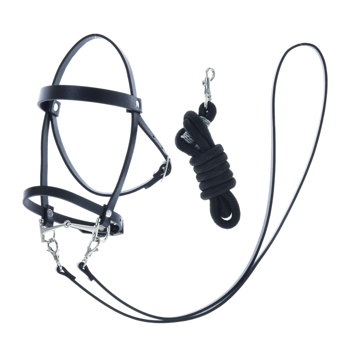 The Hobby Horse LarDen Set Basic features a black halter with metal buckles and rings plus a coiled black lead rope with a silver clasp—perfect for your hobby horse, shown on a white background.
