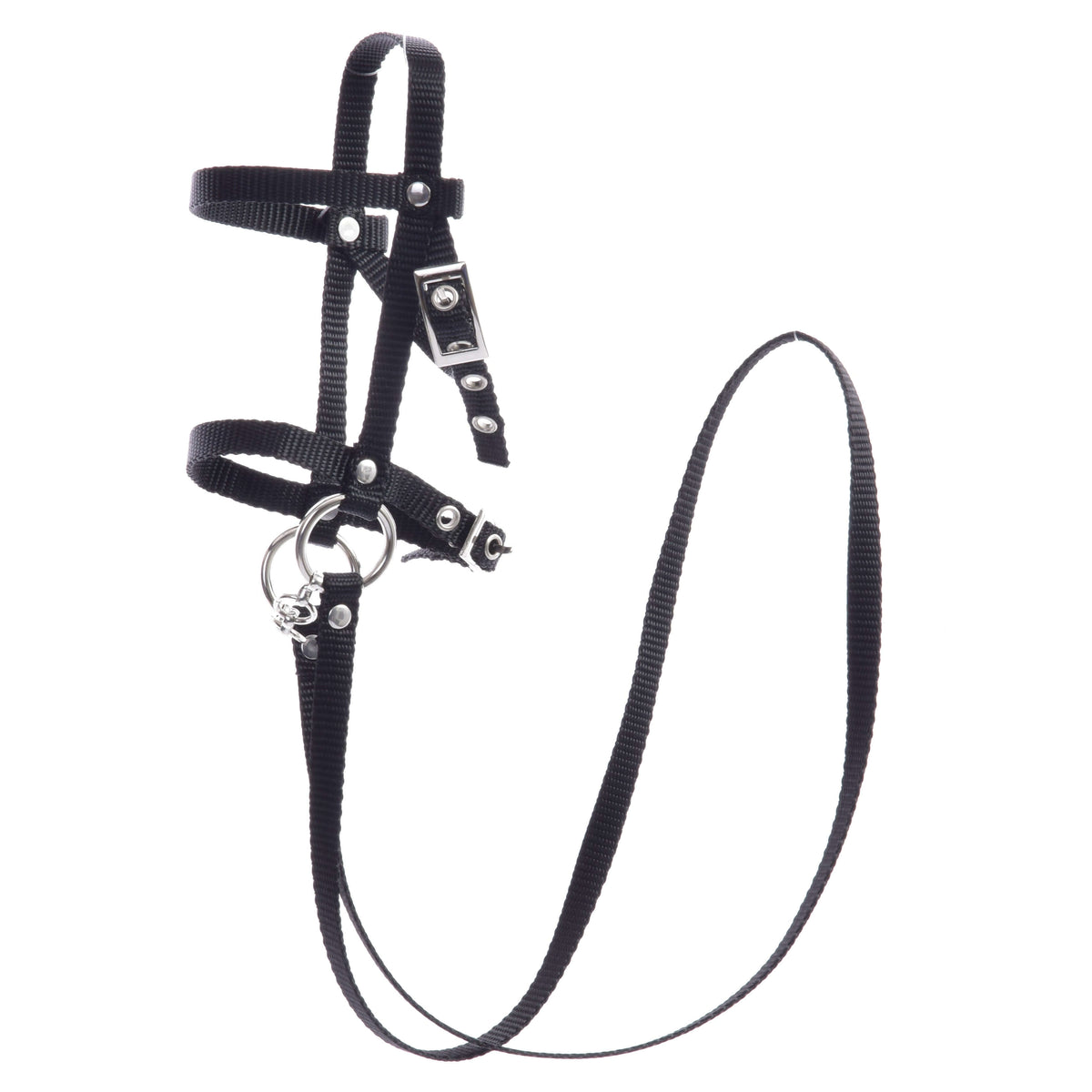 The Hobby Horse LarDen Black bridle with reins from strap is designed for small animals, featuring adjustable straps with metal buckles and rings. Ideal as a hobby horse bridle, this set includes reins and is shown on a white background.