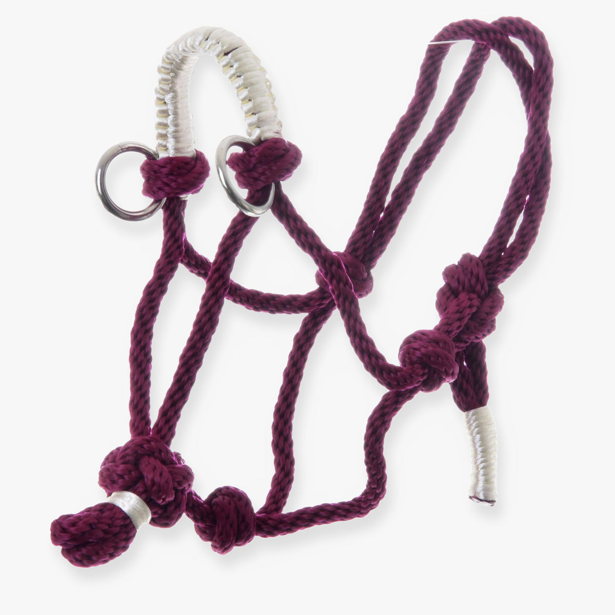 The Rope halter Czi-Czi by Hobby Horse LarDen is a maroon rope halter with white wrapped accents and metal rings, shown on a plain white background.