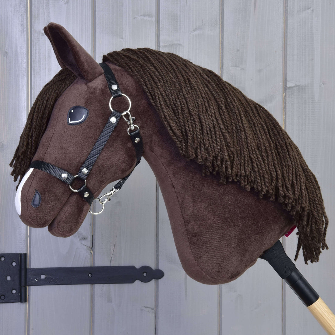 Hobby Horse Chianti with Black Halter