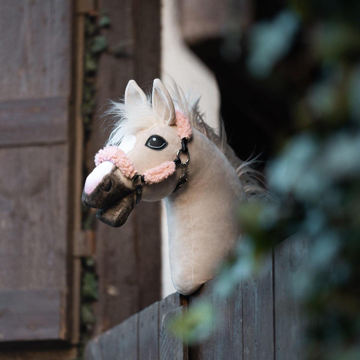 A plush Hobby Horsing horse with a pink bridle and white mane pokes out over a wooden fence, with a blurred leafy plant in the foreground and wooden shutters in the background.