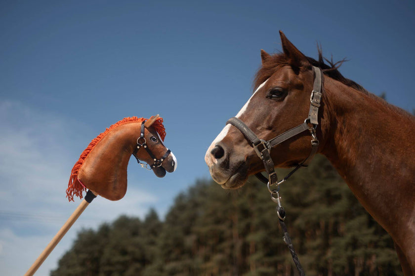 Hobby Horse efter dit foto