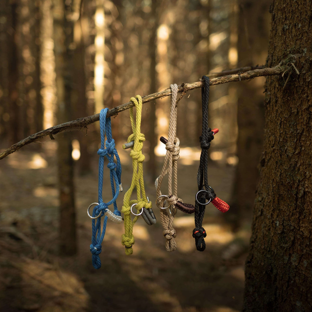 Fire rebgrimer af paracord i blå, gul, beige og sort med metalringe og knuder hænger på en tynd gren i en solbeskinnet skov.