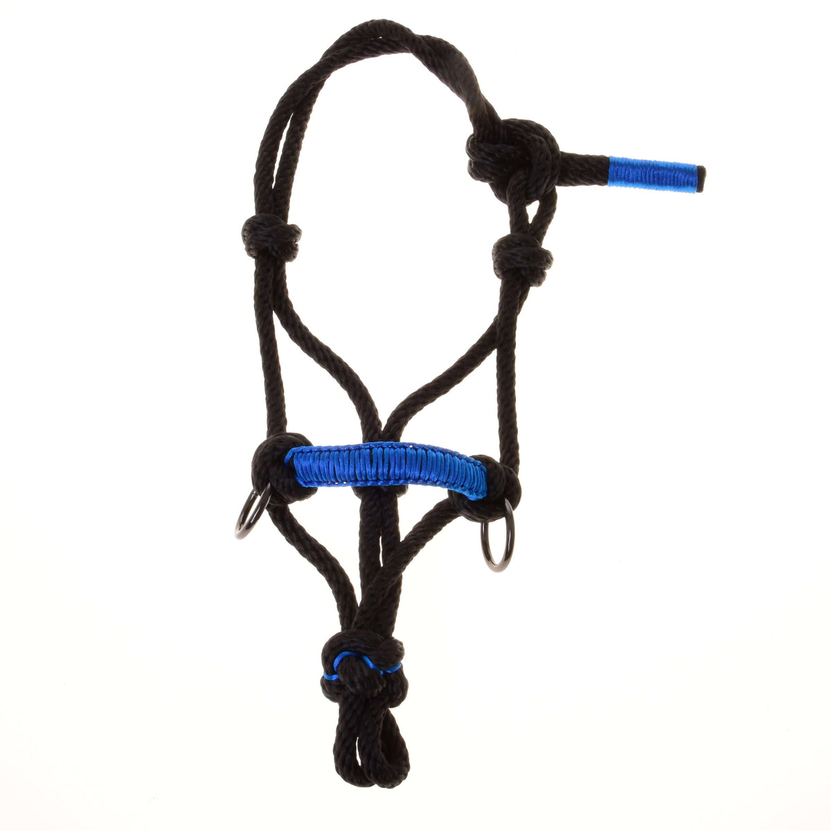 Front view of the black Hobby Horse rope halter with knots, a blue wrapped noseband and blue tie end on white