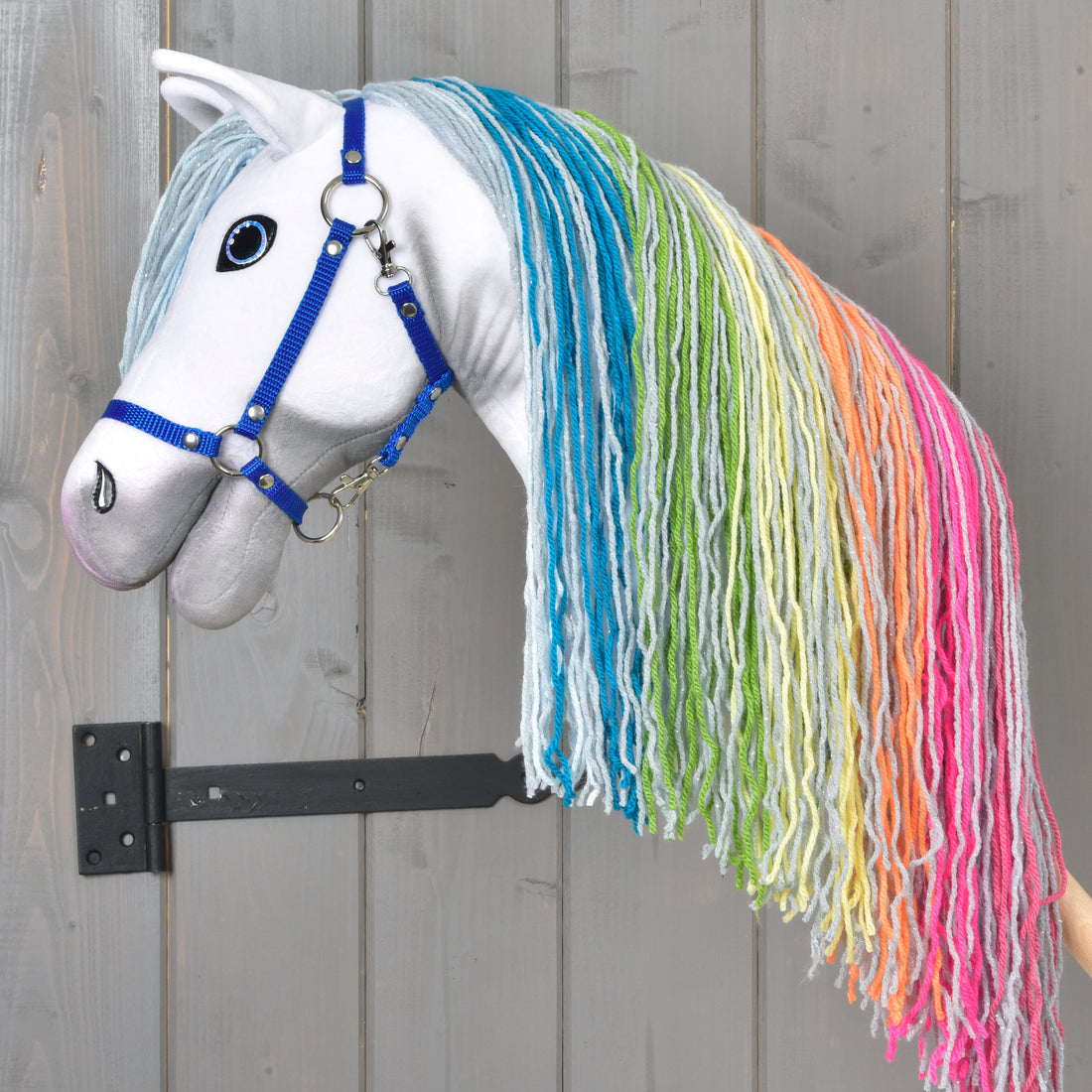 Hobby Horse Rainbow Ny