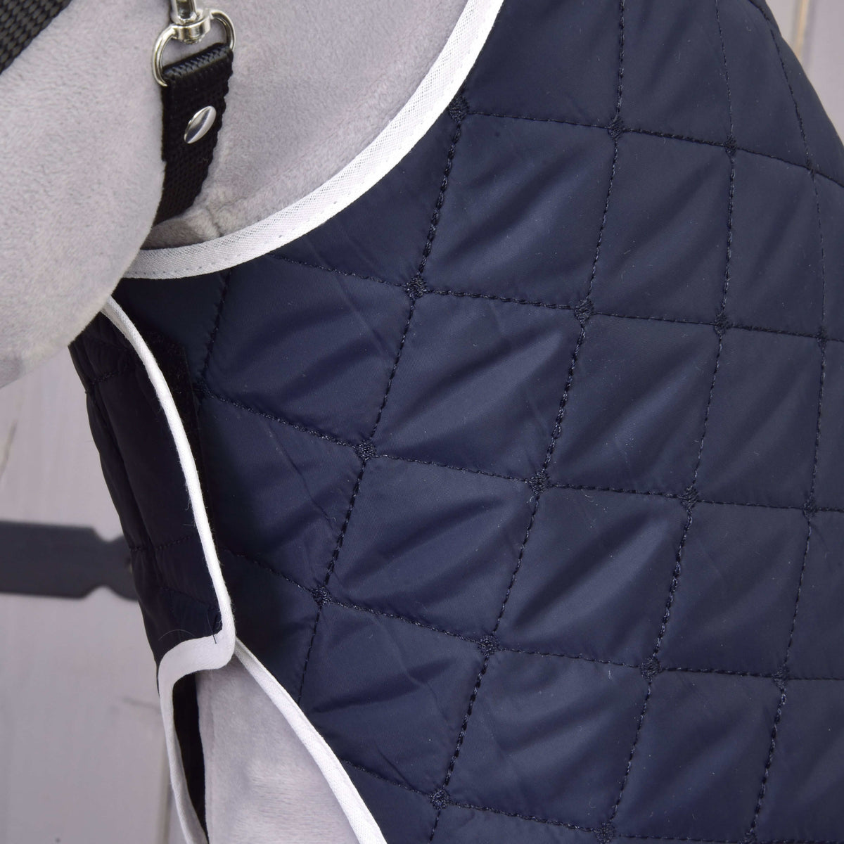 Close-up of a light gray dog wearing the Set Monte quilted navy blue jacket by Hobby Horse LarDen, featuring white trim, a diamond pattern, and a black strap with metal buckle for a stylish blanket look.
