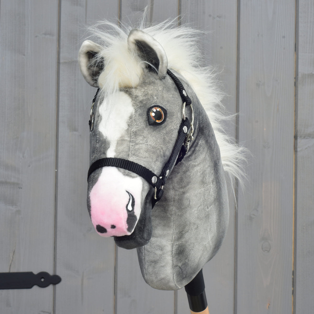 Front view of Hobby Horse Silver Moon showing the white blaze, pink muzzle, cream forelock and black webbing halter