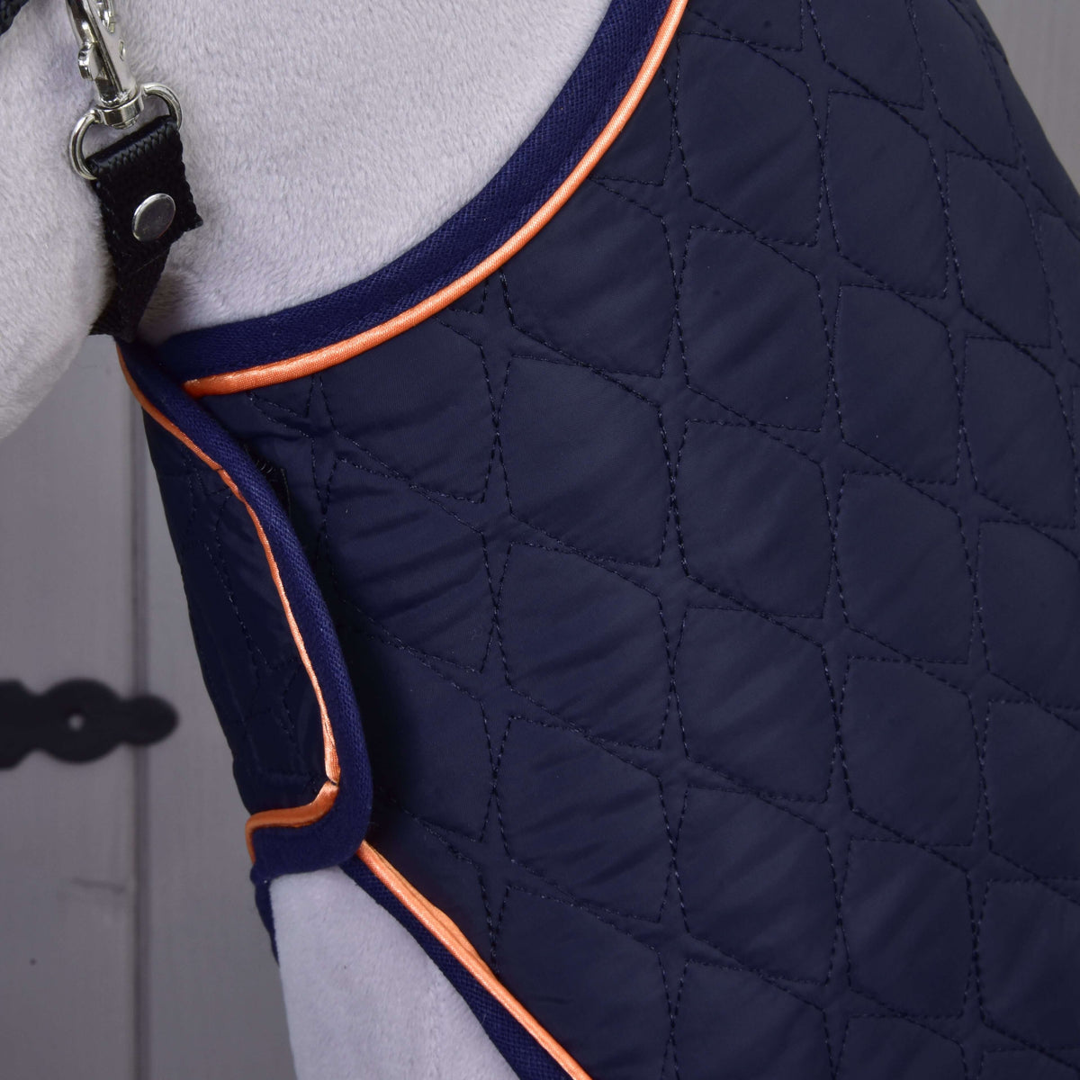 A close-up of a dog wearing the Set Winner coat by Hobby Horse LarDen, a quilted navy blue style with orange piping, secured by a black strap and metal buckle, showcasing the dog's light-colored fur.