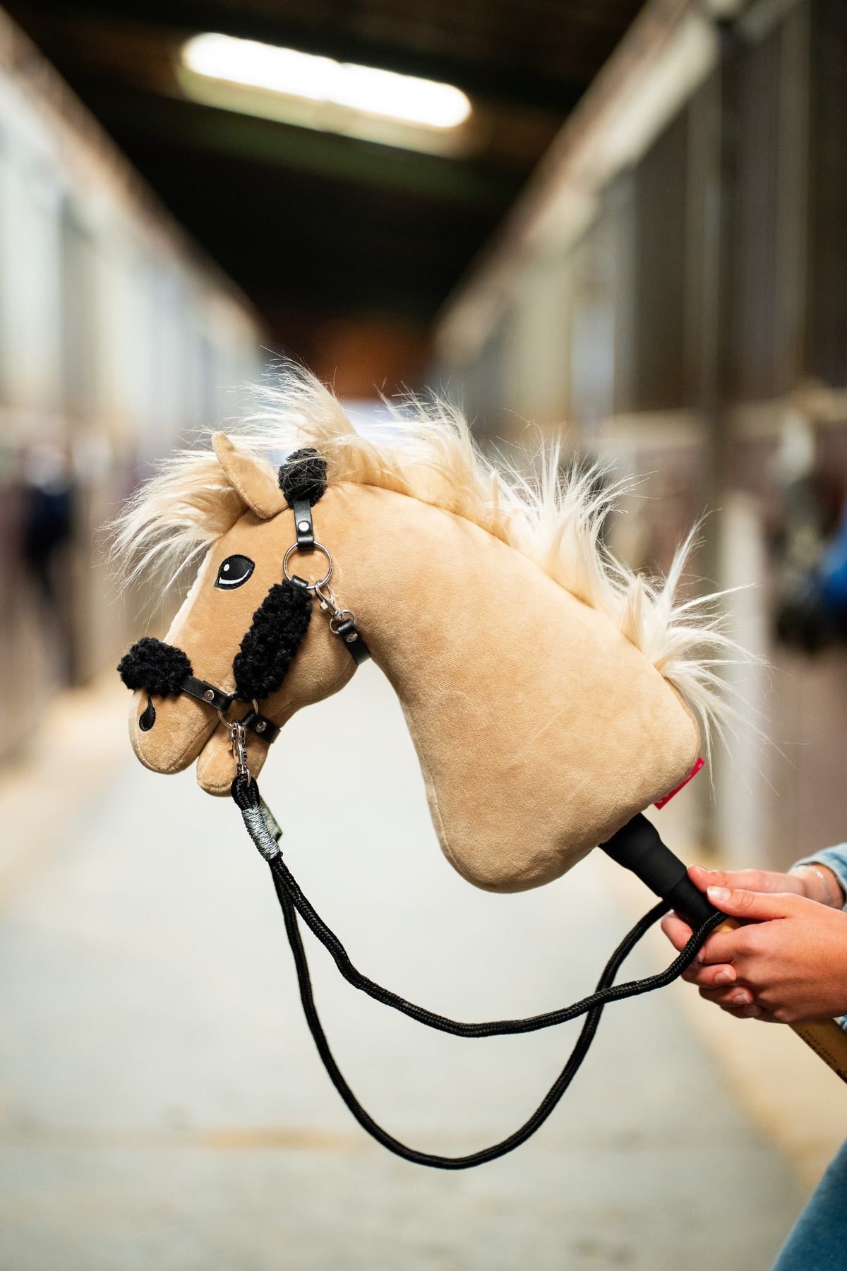 Hobby Horse Dancing Lady with Black Halter held in a stable aisle with black reins