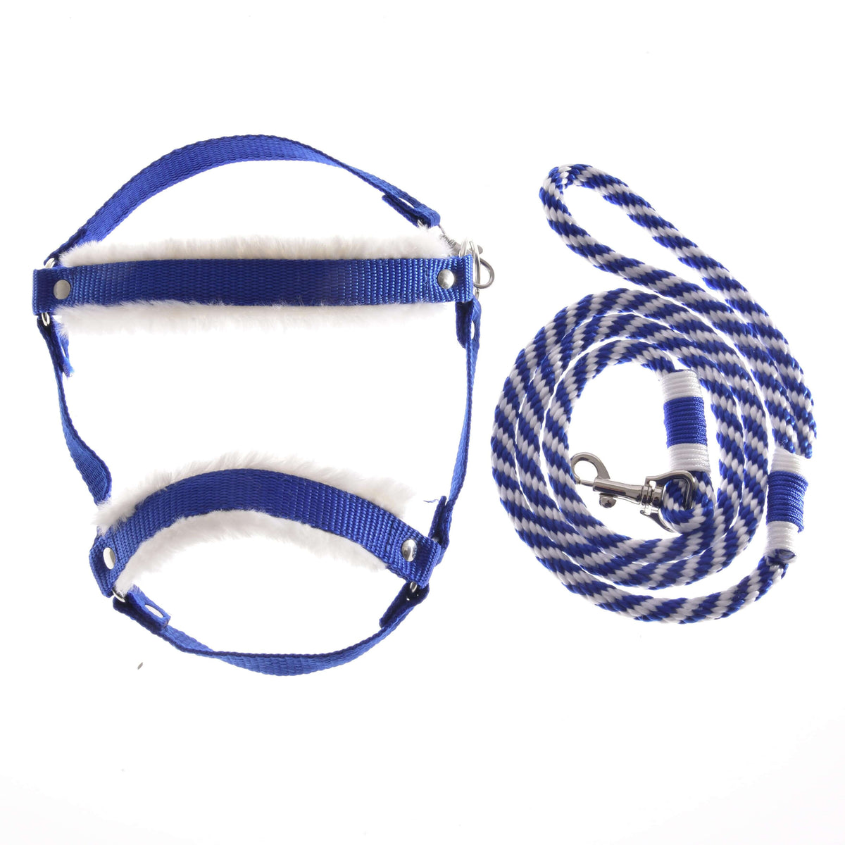 The Hobby Horse LarDen Set Essential Blue features a blue and white padded harness inspired by horse halters, paired with a matching striped leash—both neatly displayed on a white background.
