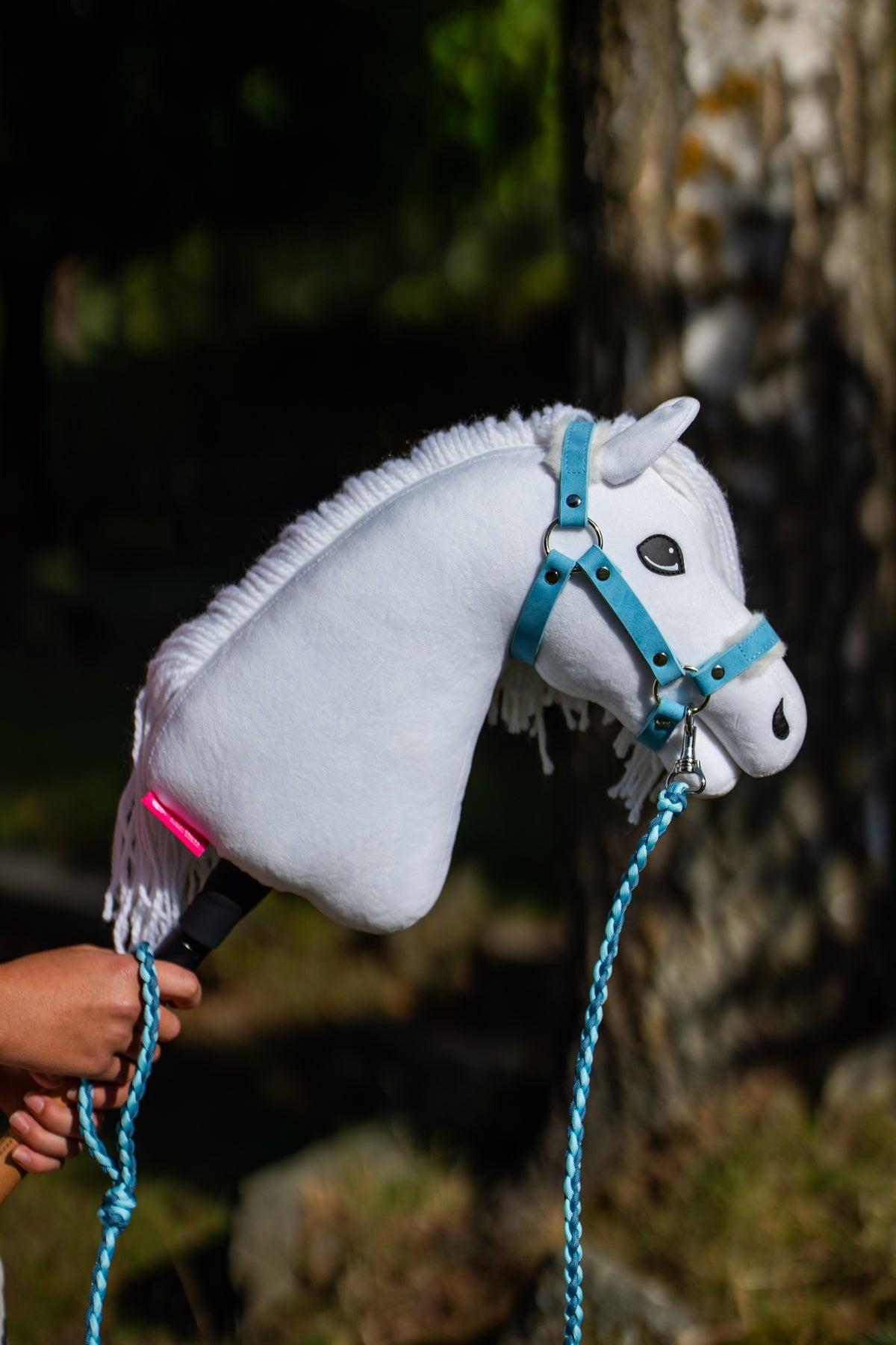 White Hobby Horse wearing a turquoise halter with the Double Blue paracord lead rope