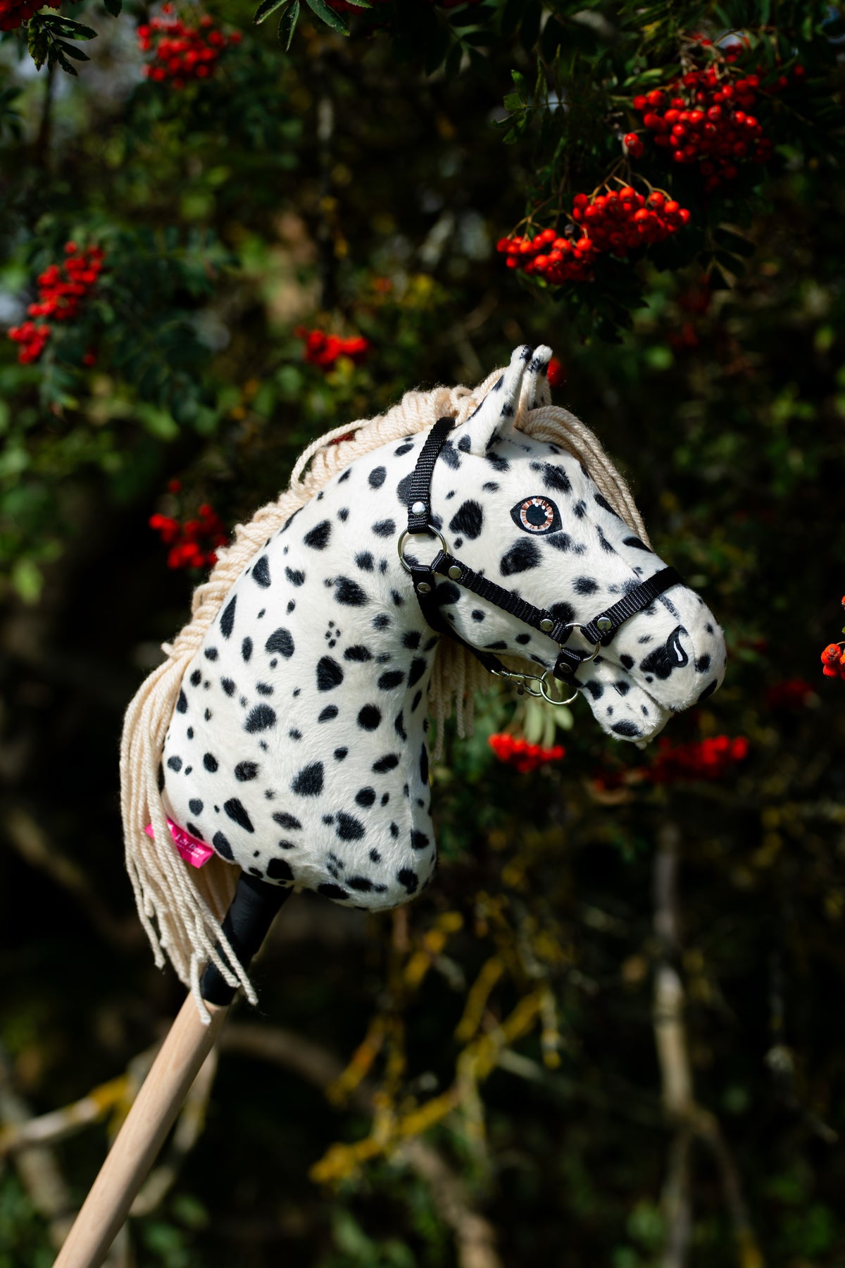 Lifestyle photo: the Hobby Horse Lord Valentine with Black Halter by Hobby Horse LarDen in front of a rowan tree with clusters of red berries - white plush head with black leopard spots, cream yarn mane, black halter with silver fittings.