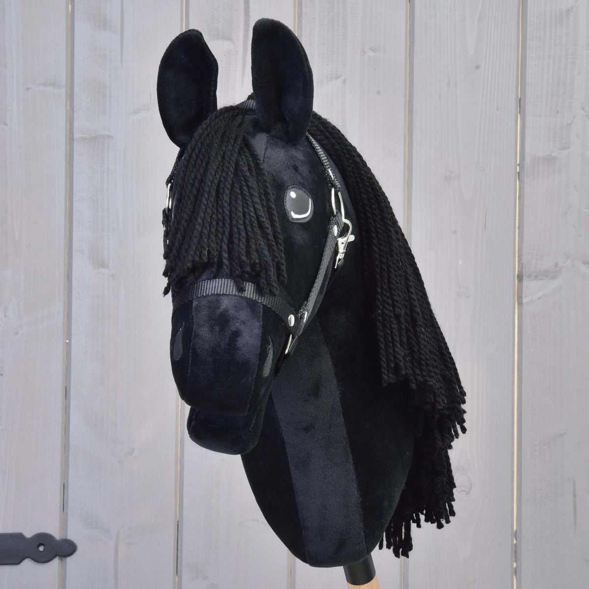 Hobby Horse Mahal with Black Halter from the front, black yarn forelock between upright black plush ears