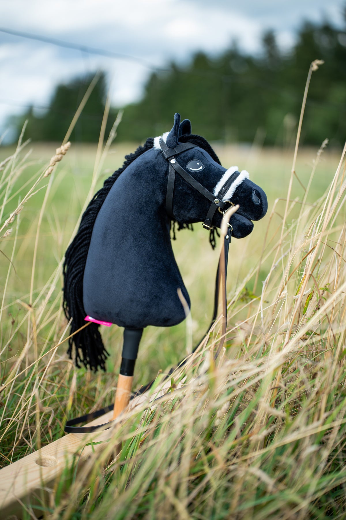 Hobby Horse Mahal with Black Halter standing in tall meadow grass, here in a black bridle with white fur noseband