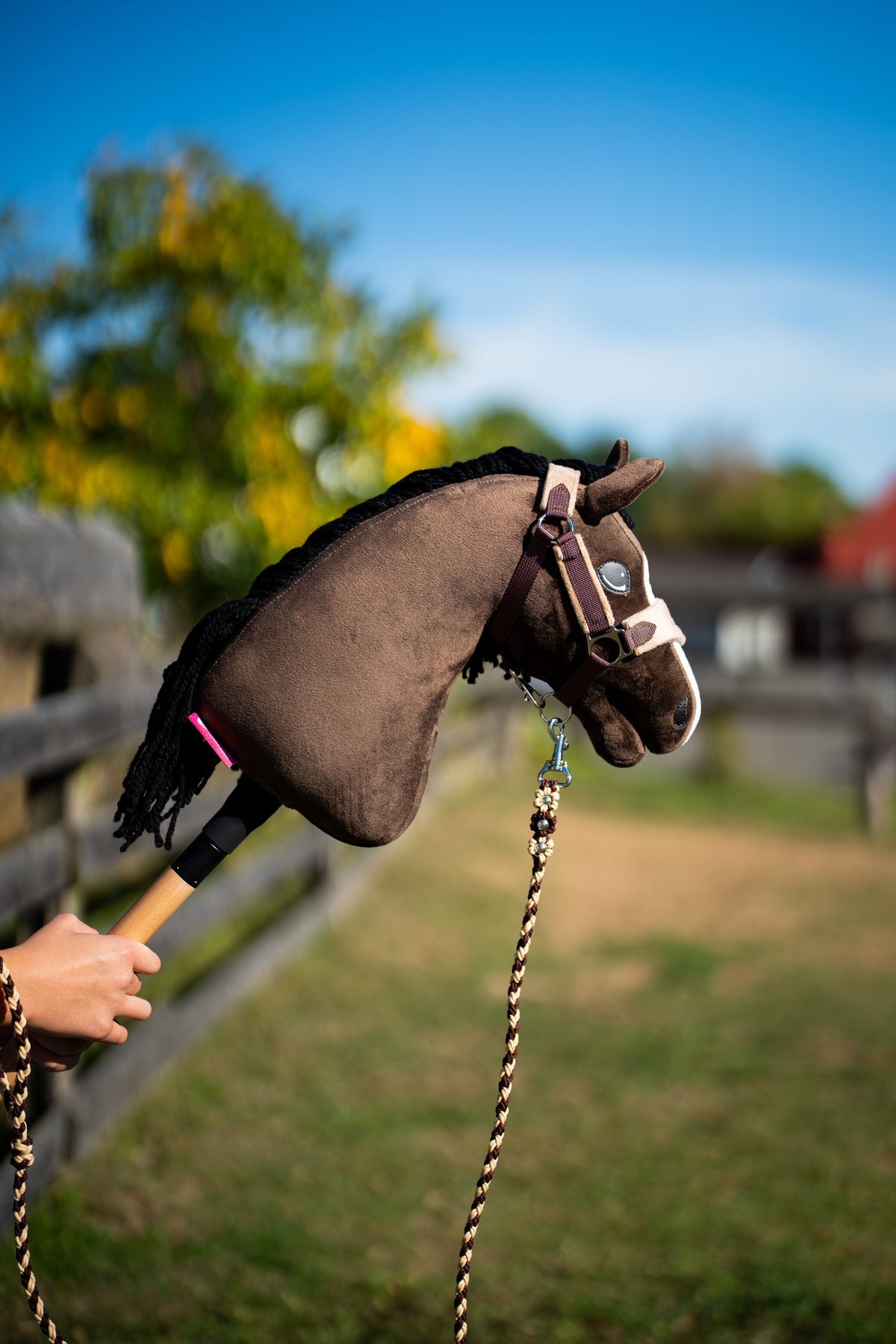 Detail photo: the head of the Hobby Horse Sisi with Black Halter by Hobby Horse LarDen in a sunny paddock - dark brown plush, black yarn mane, white blaze - shown here with the beige and brown Set LarDen Exclusive Braun halter and its braided lead.