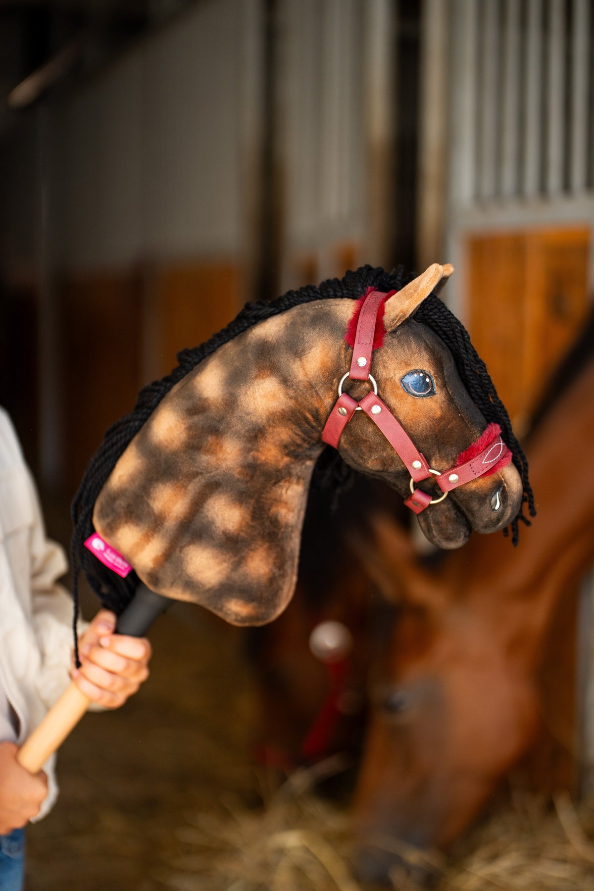 Hobby Horse Stormy with Black Halter shown with a burgundy halter, black yarn mane and brown plush head