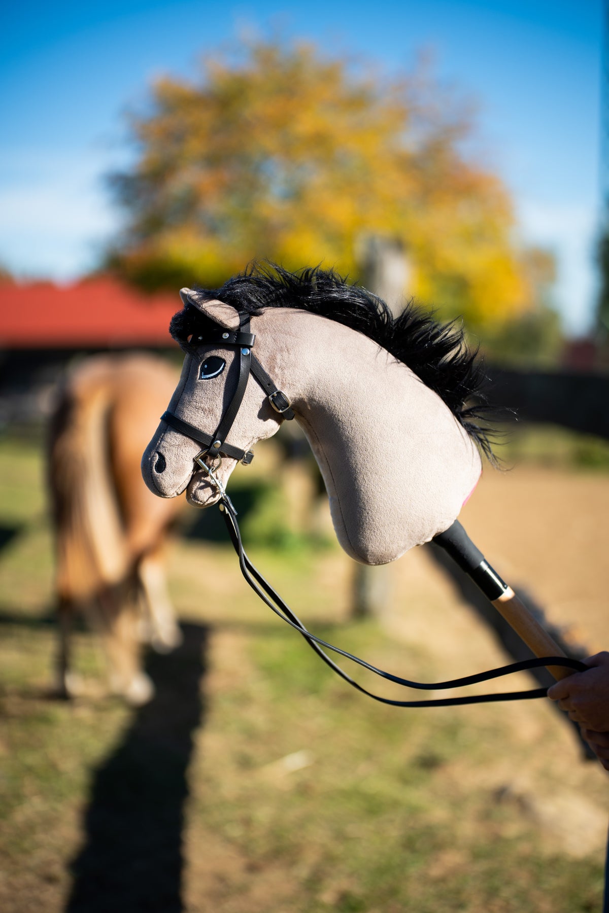 Detail photo: the head of the Hobby Horse Thor with Black Halter by Hobby Horse LarDen in a sunny paddock - grey plush, black yarn mane - shown here with the Complete black bridle with diamonds and its reins.
