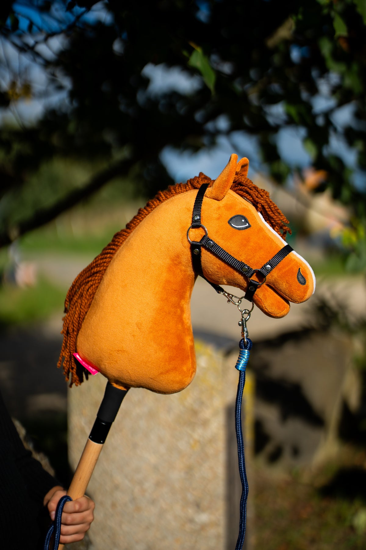 Hobby Horse rope stripe Blues lead clipped to a chestnut Hobby Horse with black halter outdoors