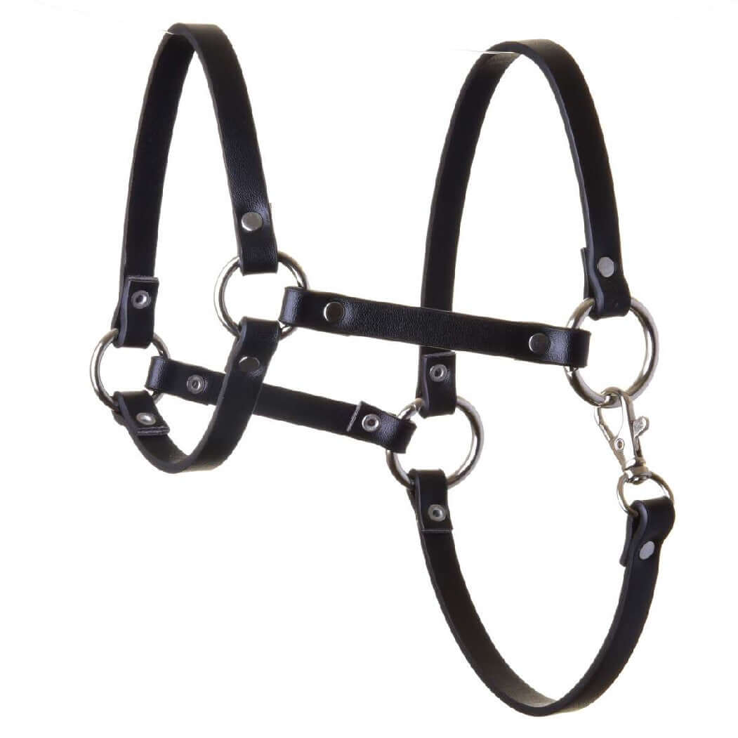 The Hobby Horse LarDen Halter - black leatherette features silver rings, rivets, adjustable straps, and a clasp closure—an ideal accessory for your hobby horse.