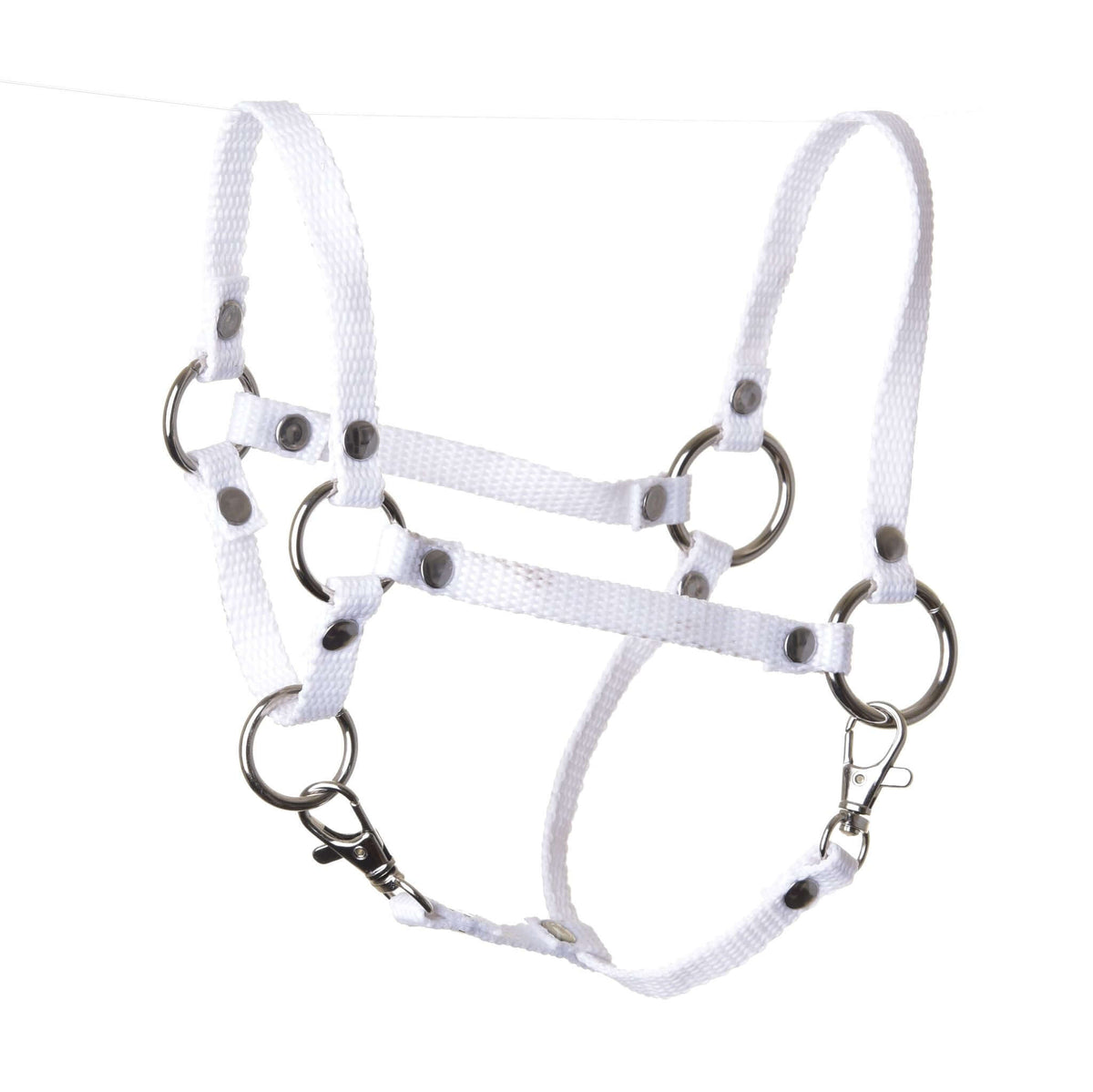 The Hobby Horse LarDen Halter white is a nylon hobby horse halter with metal rings and buckles, ideal for securing or leading your hobby horse. Shown on a white background, it's a functional and stylish accessory.