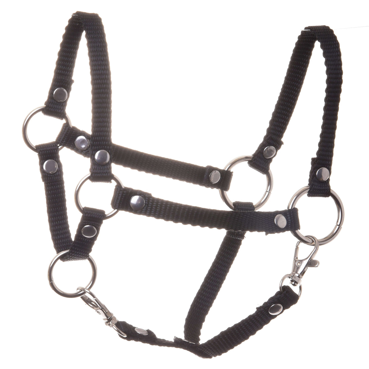 The Halter black by Hobby Horse LarDen is a nylon hobby horse accessory with silver rings and buckles, showcased against a white background.