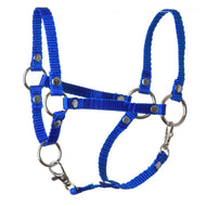 The Halter blue by Hobby Horse LarDen is a vibrant adjustable nylon accessory with metal rings and buckles, shown on a white background—perfect for your hobby horse.