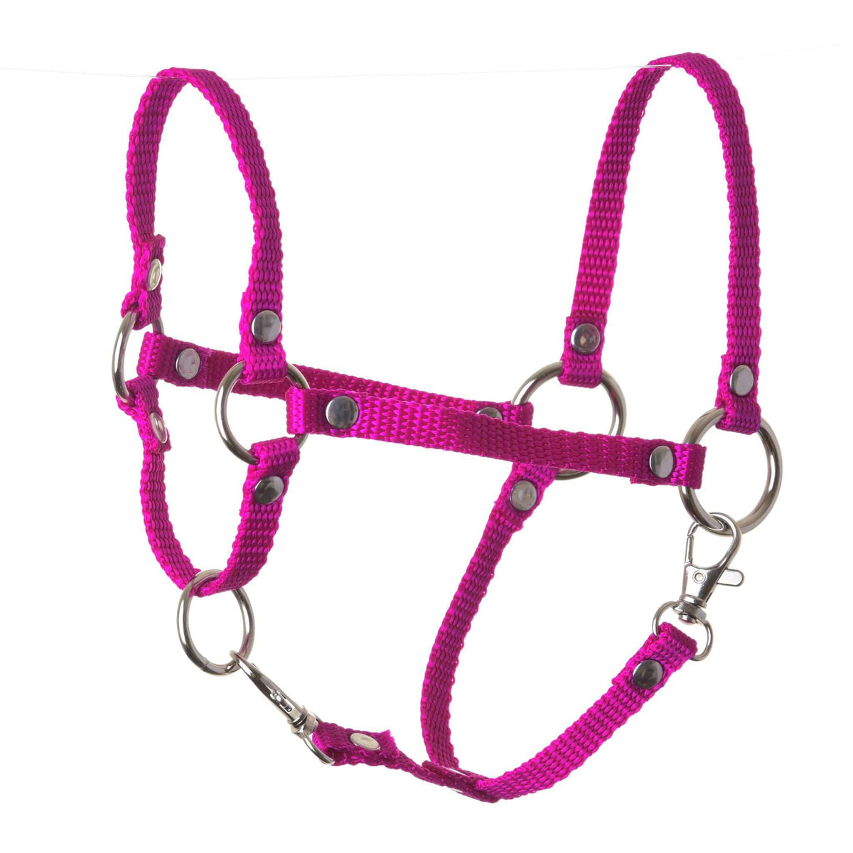 The Hobby Horse LarDen Halter rose is a bright pink nylon hobby horse halter with metal rings and buckles—a charming accessory, perfect for your hobby horse, isolated on a white background.