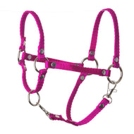 The Hobby Horse LarDen Halter rose is a bright pink nylon hobby horse halter with metal rings and buckles—a charming accessory, perfect for your hobby horse, isolated on a white background.